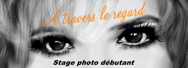 stage photo montbeliard, stage photo montbeliard, belfort, beaucourt, cours photo, photographie, formation, prise de vue, mode manuel, reflexe